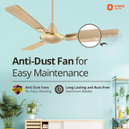 Orient Electric Gratia Antidust| High-Speed Ceiling Fan | Long-Lasting and Decorative | Exceptional Functionality | Aesthetic Design | Warranty (2 years) | (Topaz Gold)