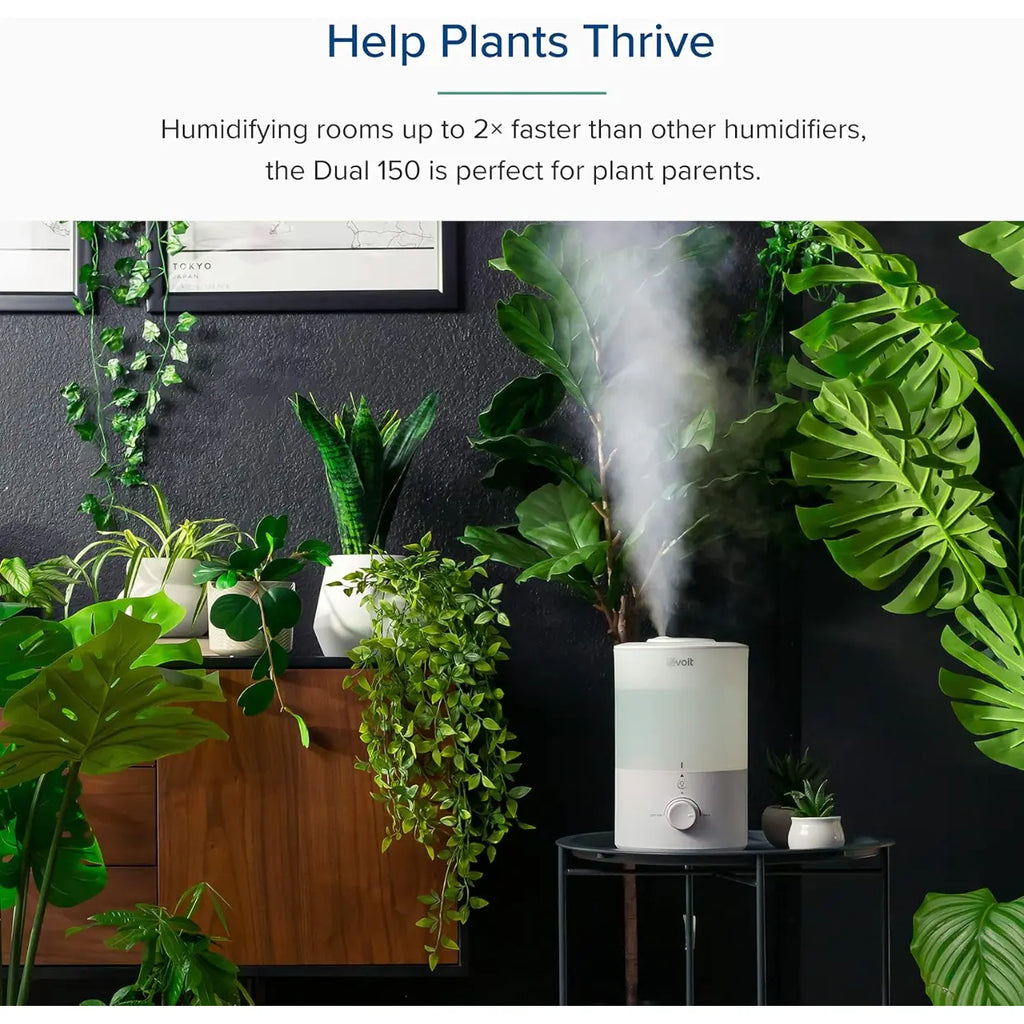 LEVOIT 3L Humidifiers for Bedroom Baby Room with Night Light, Cool Mist Humidifier for Home, Office & Plant, Auto-Off, Up to 25H for 27 ㎡, Quiet Operation with 360° Rotation Nozzle- 2 Filter Sponge devfakhroo
