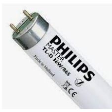 FLOURESCENT TUBE 36W 4FEET DAY LGHIT