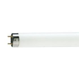 FLOURESCENT TUBE 58W FEET DAY LIGHT